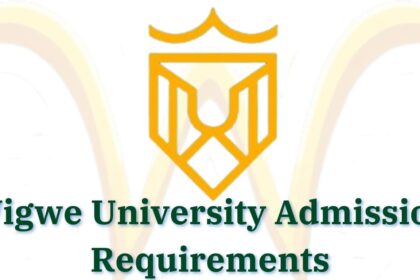 Wigwe University Admission Requirements